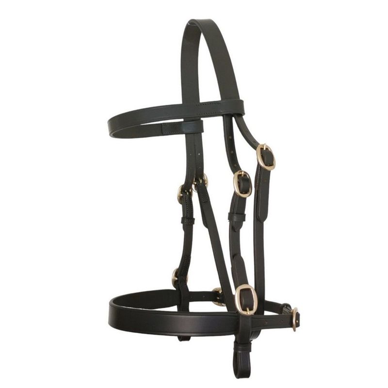 In-hand Bridles, Bits &amp; Leads