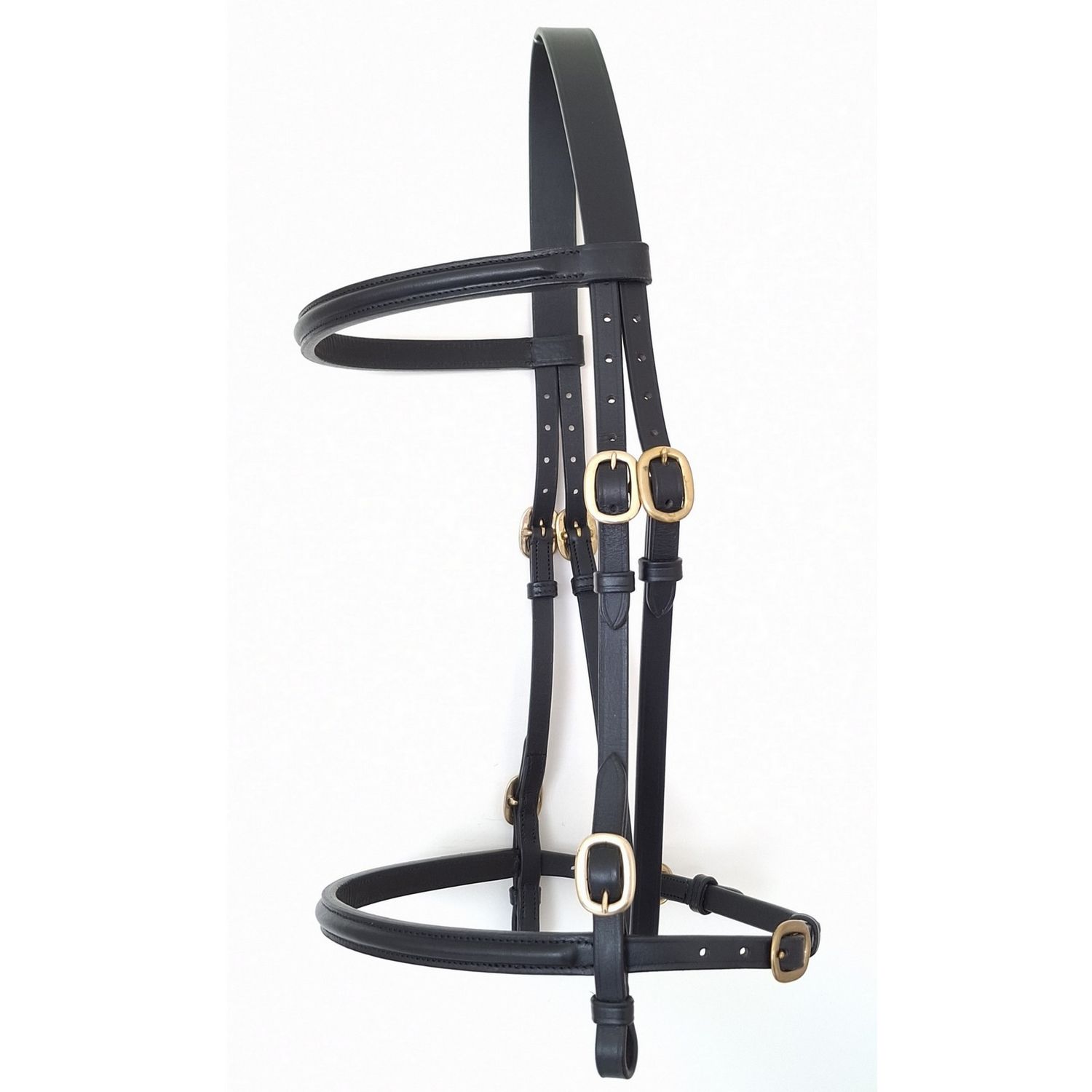 In-Hand show bridle raised- BLACK - with lead - FULL
