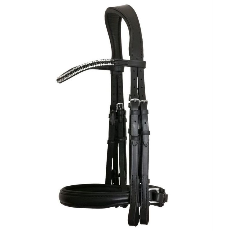Double Bridles