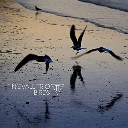 TINGVALL TRIO (LP) - Birds