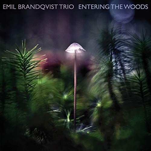 EMIL BRANDQVIST TRIO (LP)-Entering The Woods
