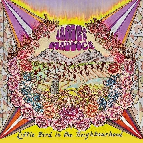 James Maddock - Little Bird In The Neighbourhood