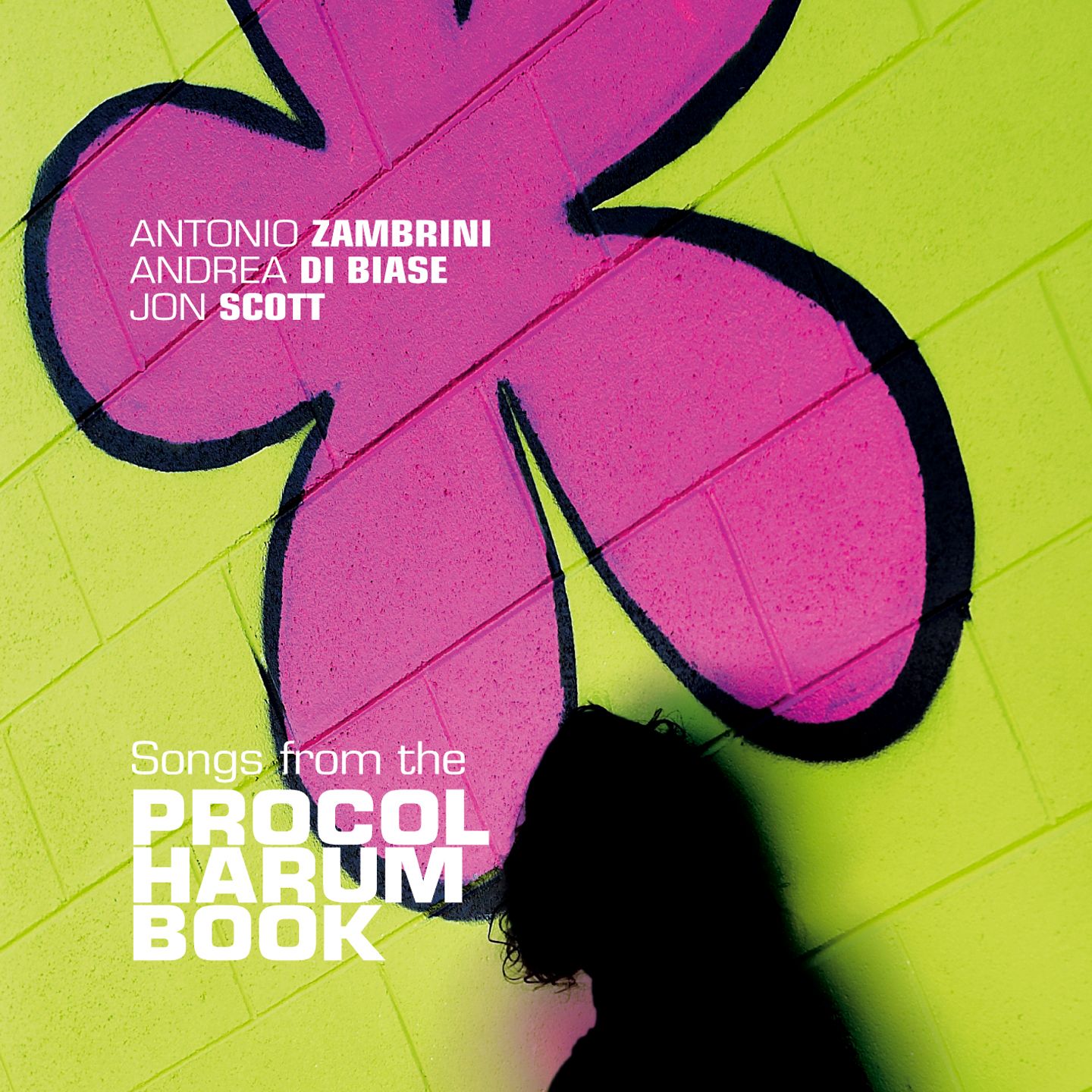 A.Zambrini/A.Di Biase/J.Scott - Songs Procol Harum Book