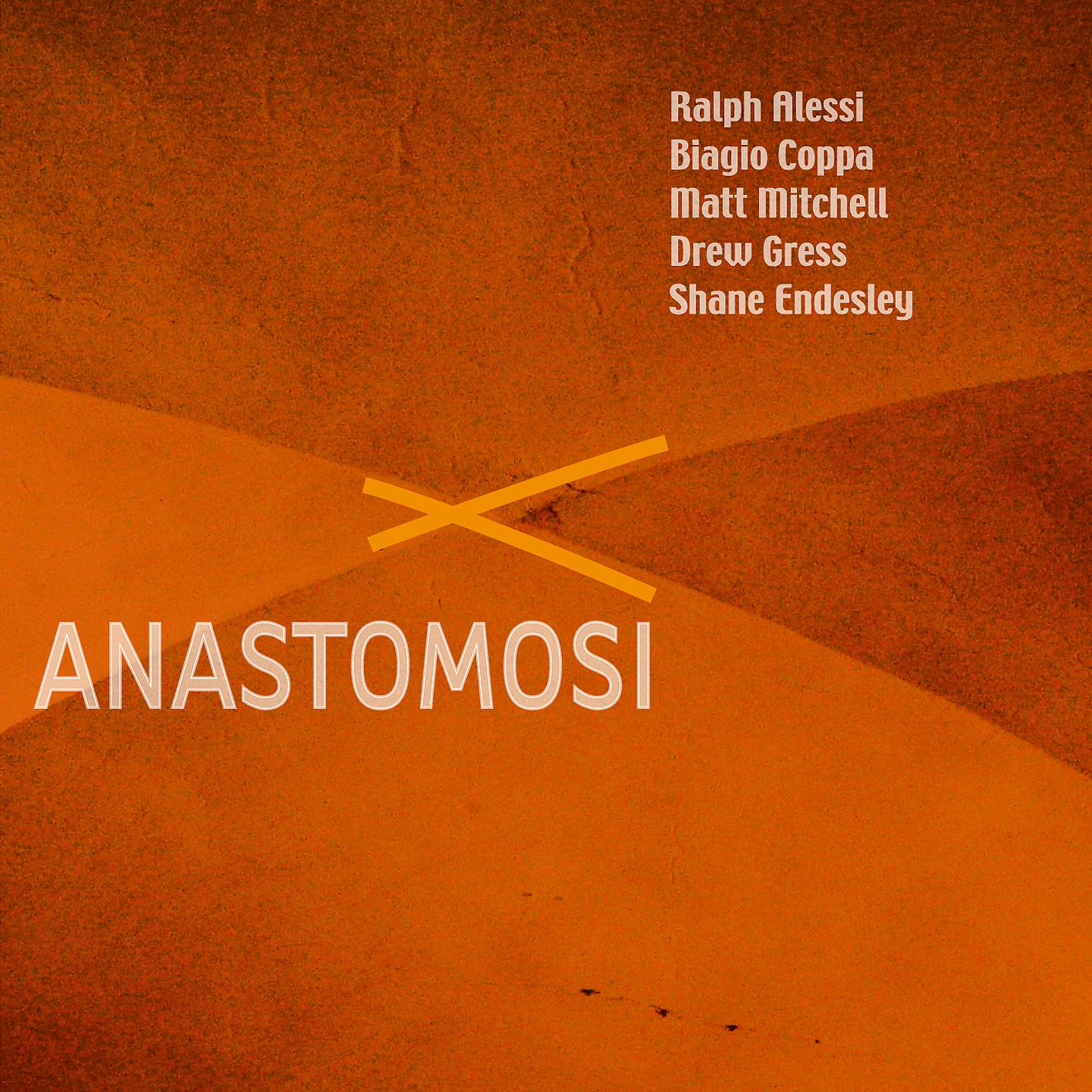 R.Alessi/B.Coppa/M.Mitchell/D.Gress - Anastomosi