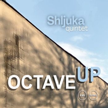SHLJUKA QUINTET - Octave Up