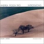 ANDREA POZZATO TRIO-Introducing