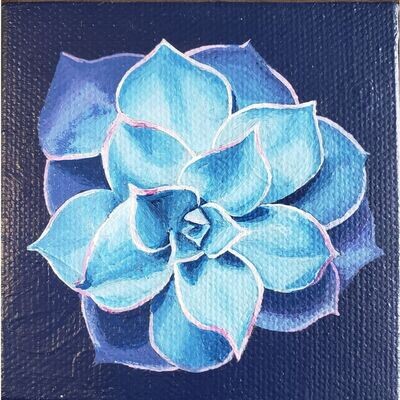 Mini Succulent - Blue