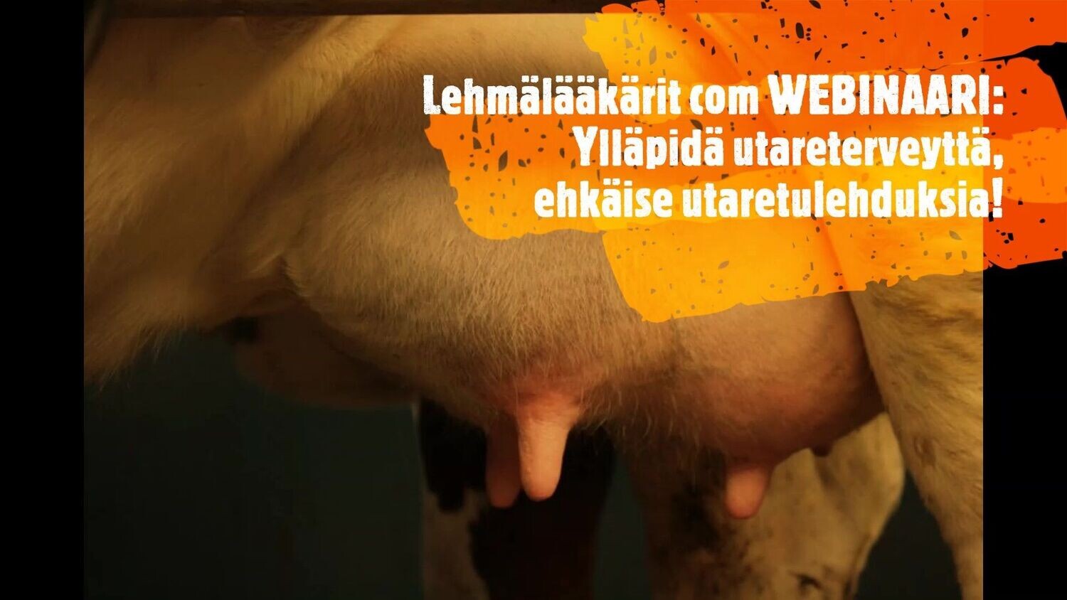 WEBINAARITALLENNE 28.4.2020 YLLÄPIDÄ UTARETERVEYTTÄ, EHKÄISE UTARETULEHDUKSIA