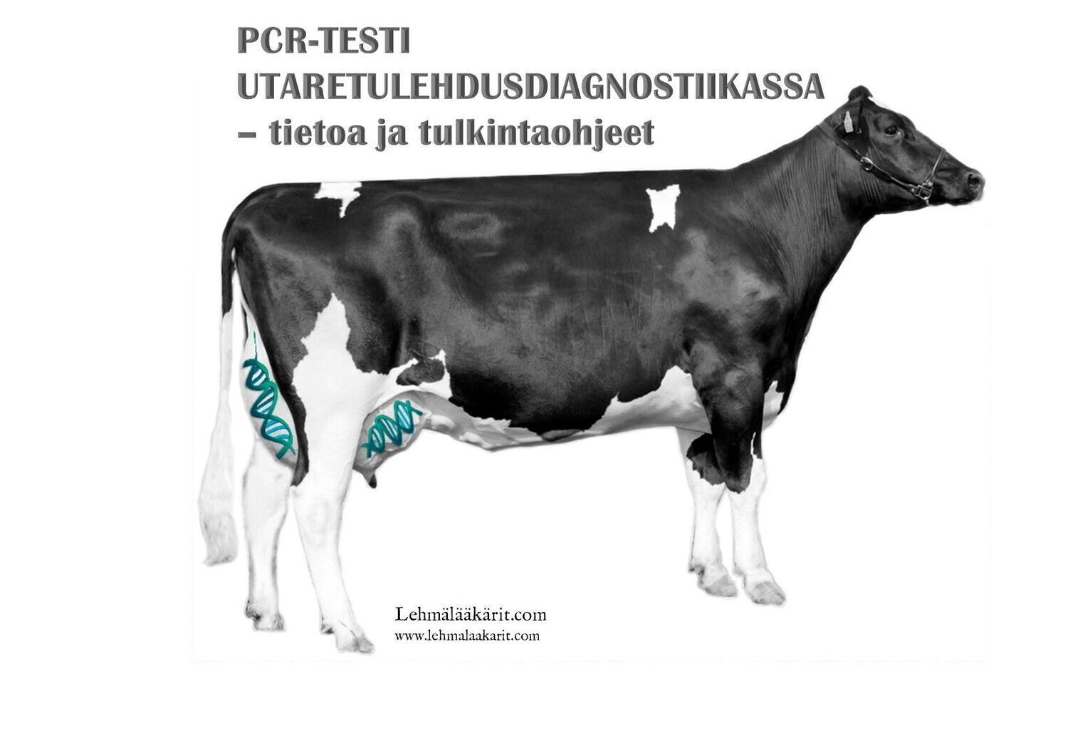 WEBINAARITALLENNE 5.9.2016: PCR-TESTI UTARETULEHDUSDIAGNOSTIIKASSA
