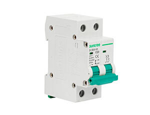 2P AC Circuit Breaker