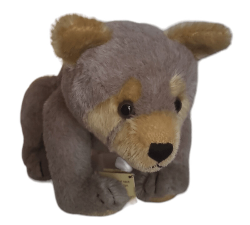 Katzenbär