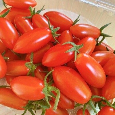 SPECIALTY TOMATOES - Solarino Tomatoes