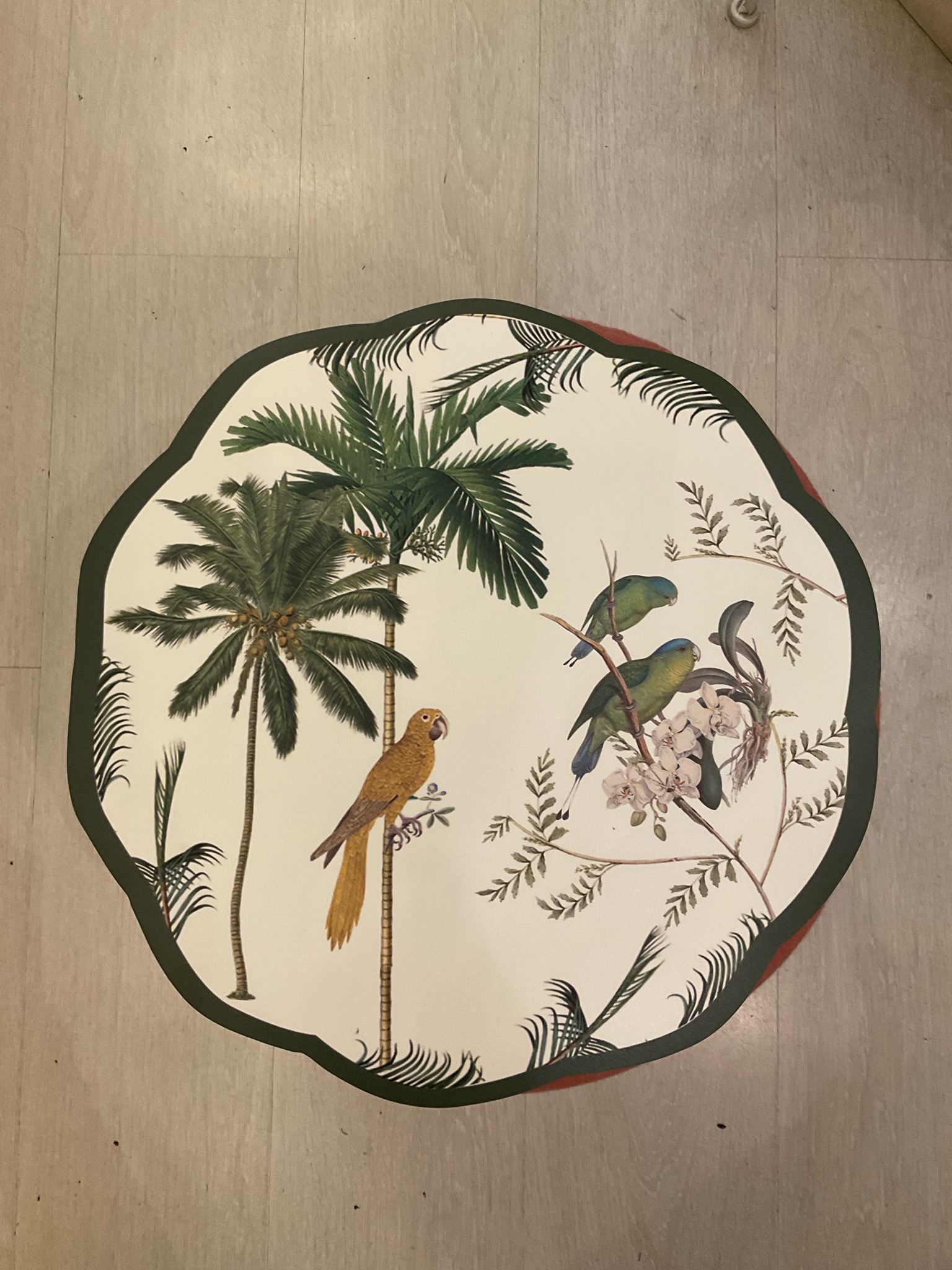 Tovaglietta vinile pappagallo