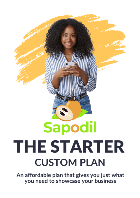The Starter Custom Plan