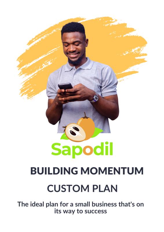 Building Momentum Custom Plan