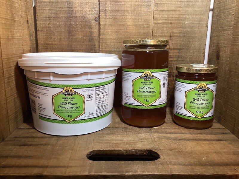 Dutchman’s Gold - Wild Flower Honey