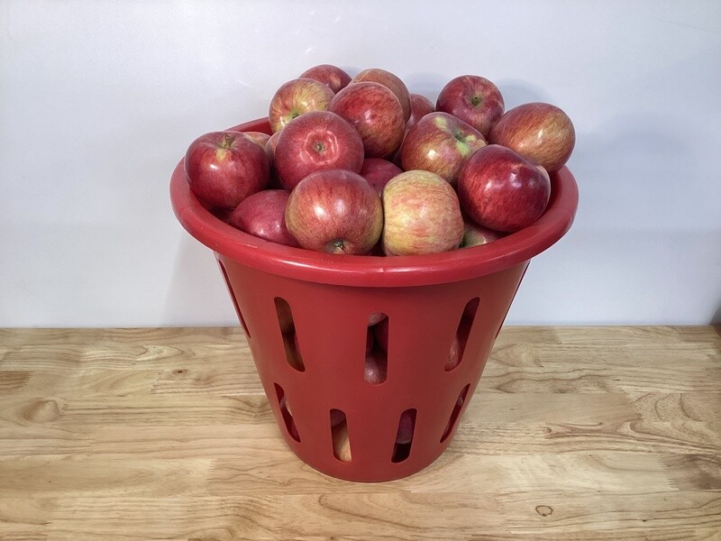McIntosh - 1/2 Bushels