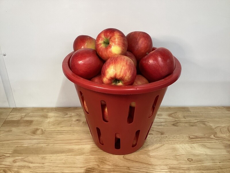 Honey Crisp - 1/2 Bushels
