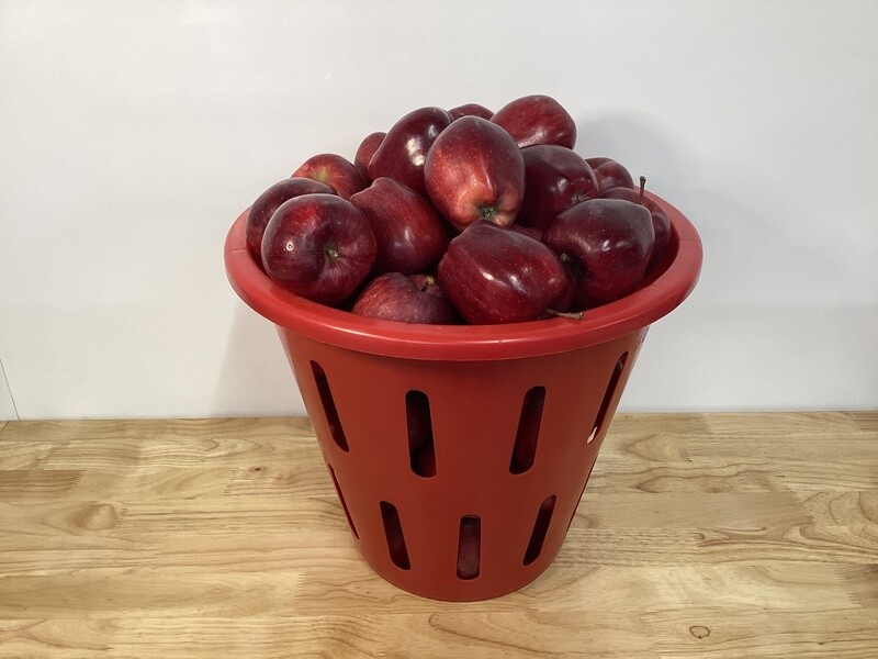 Red Delicious - 1/2 Bushels