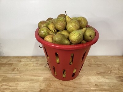 Bosc Pears - 1/2 Bushels