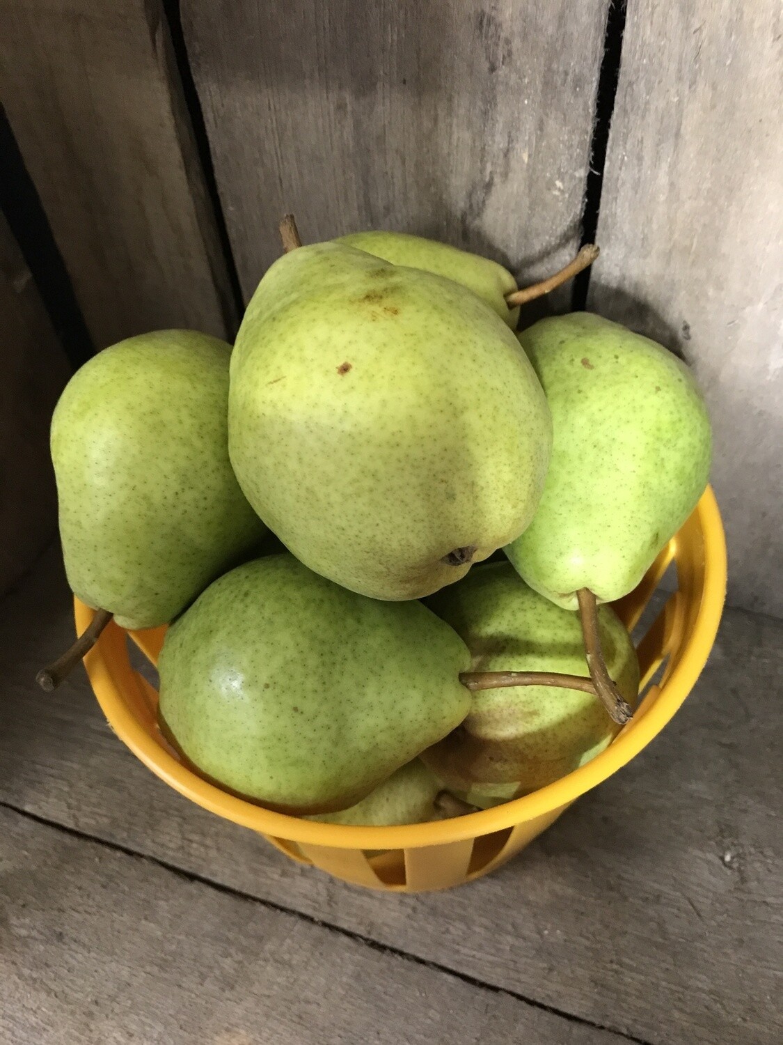 Bartlett Pears - 1/2 Bushels