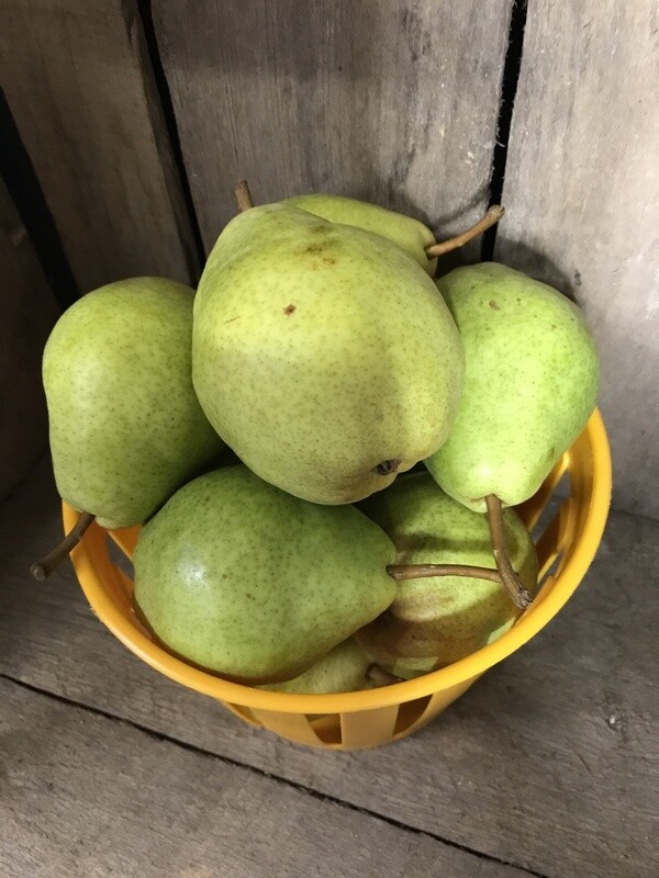 Bartlett Pears - 1/2 Bushels