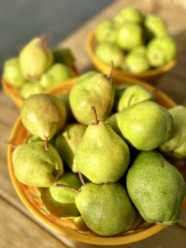 Pear Net Pears