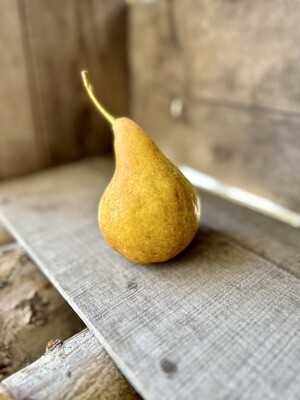 Bosc Pears - Baskets