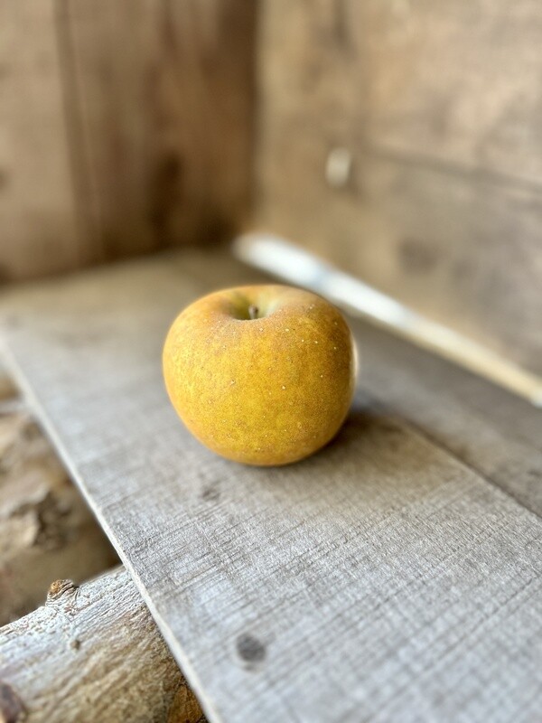 Russet - Baskets