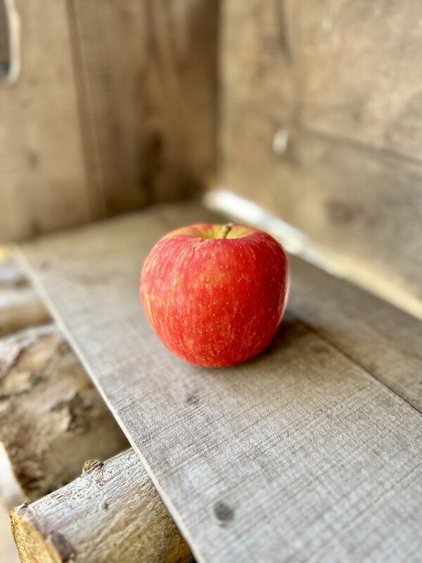 Honey Crisp - Baskets