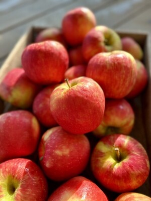 Apples