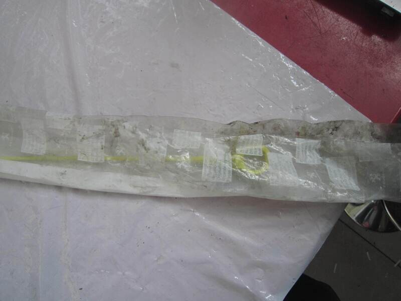 90-485 Astina Olio Citroen / Peugeot 1174 85 117485 Diesel VARIE