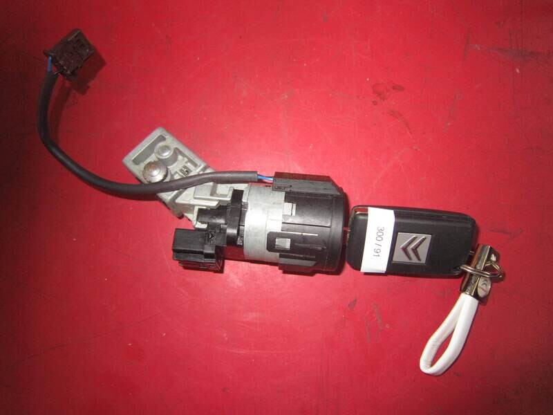 300-91 Blocchetto Accensione Delphi 96 631 233 80 9663123380 CITROEN / PEUGEOT VARIE