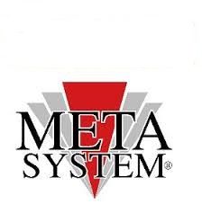 Metasystem