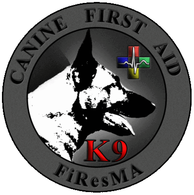 Erste Hilfe Hund: CFA - Canine First Aid (K9)