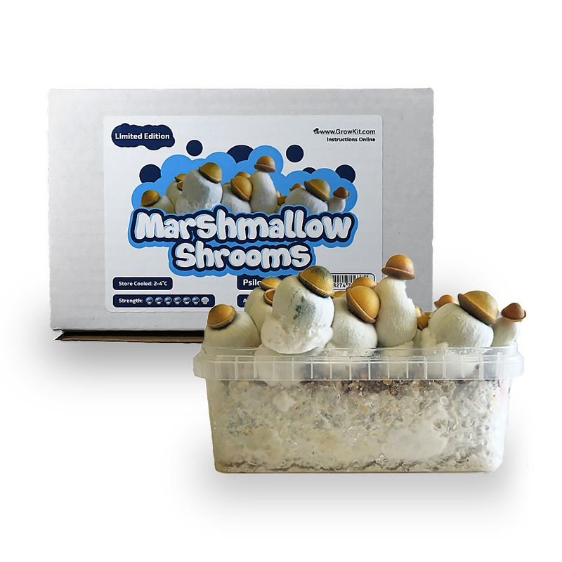Marshmallow Shrooms