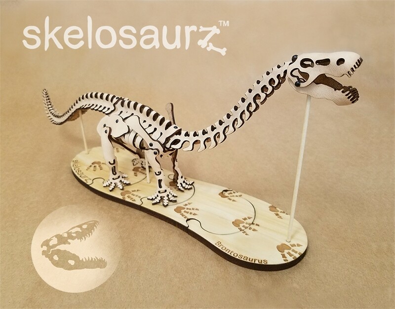 Brontosaurus Leather Fossil Kit