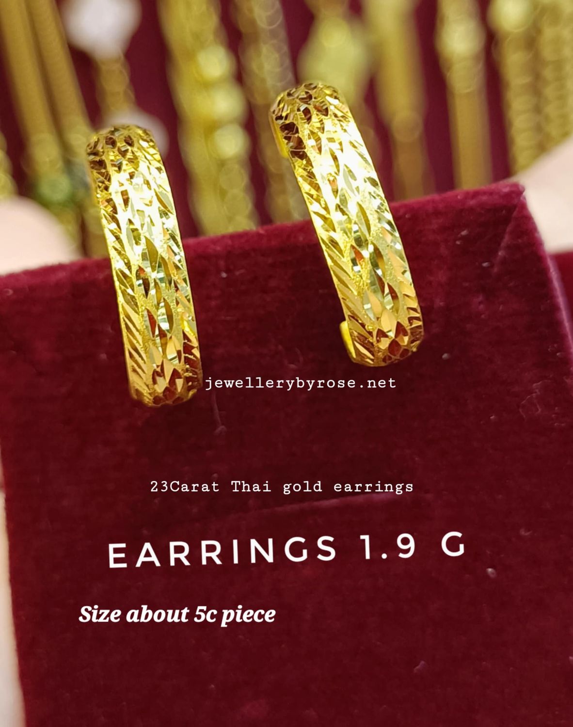 Fashion  Hoop Earrings (style1)