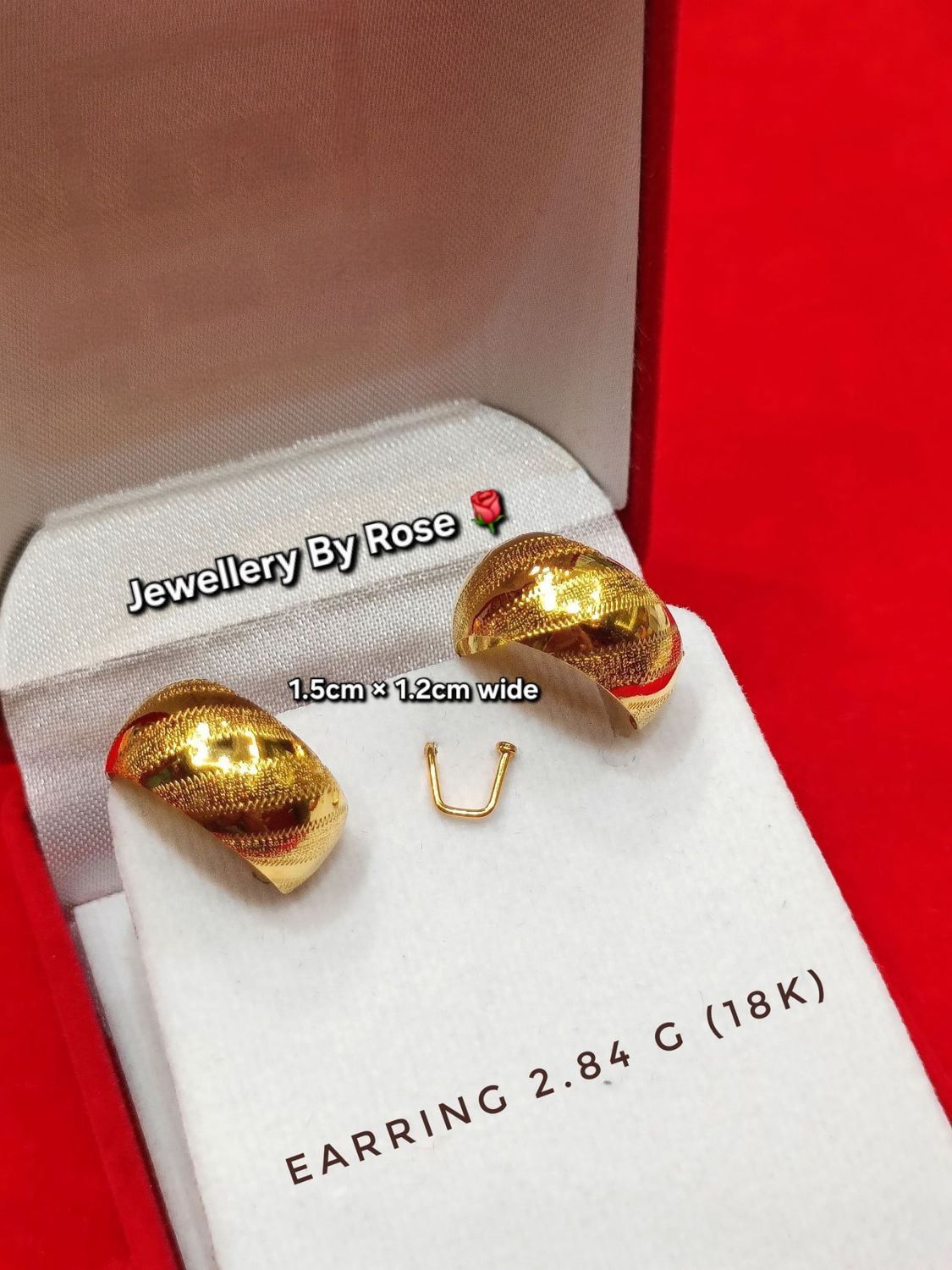 Classic Gold Hoop Earrings #2