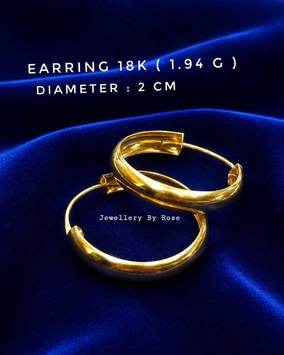 Classic Gold Hoop Earrings #2