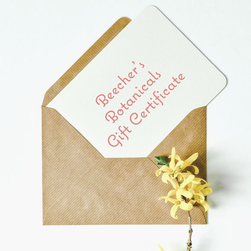 GIFT CERTIFICATE