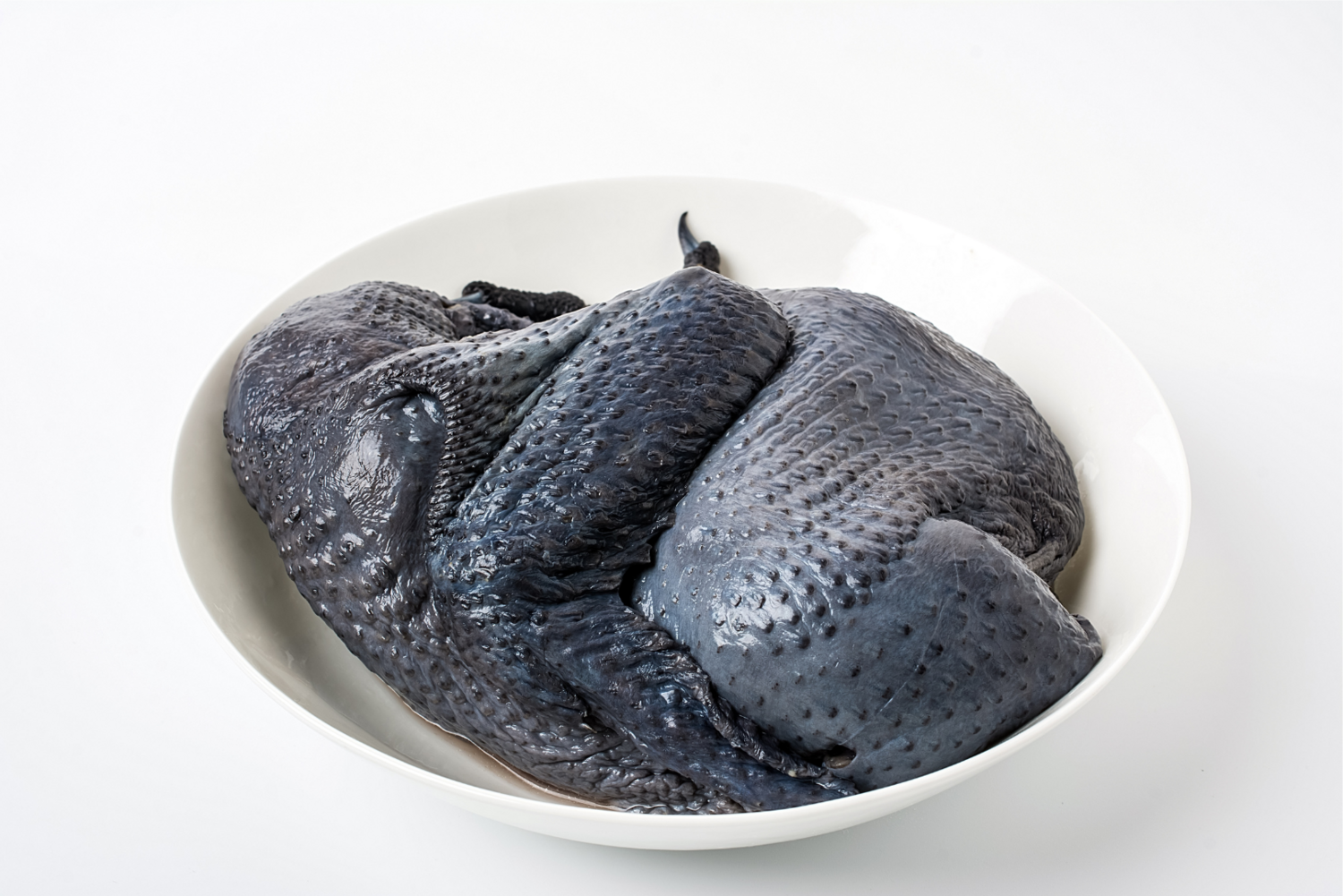 Black Chicken | 全黑鸡