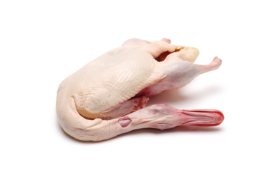 Whole Duck | 全鸭