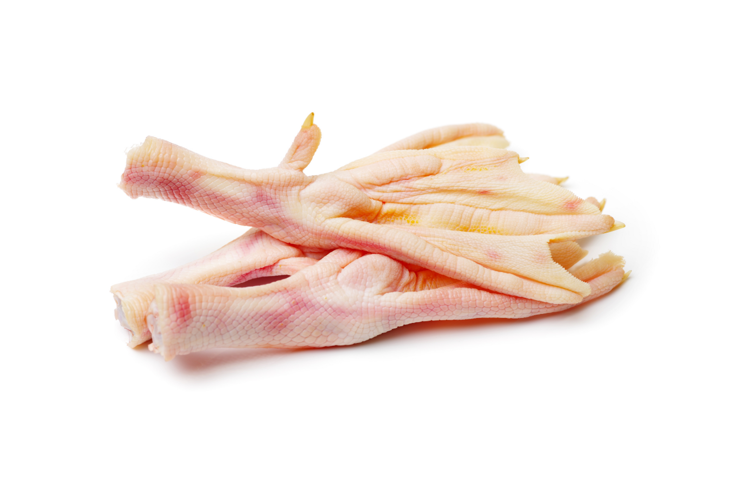 Duck Feet | 鸭掌