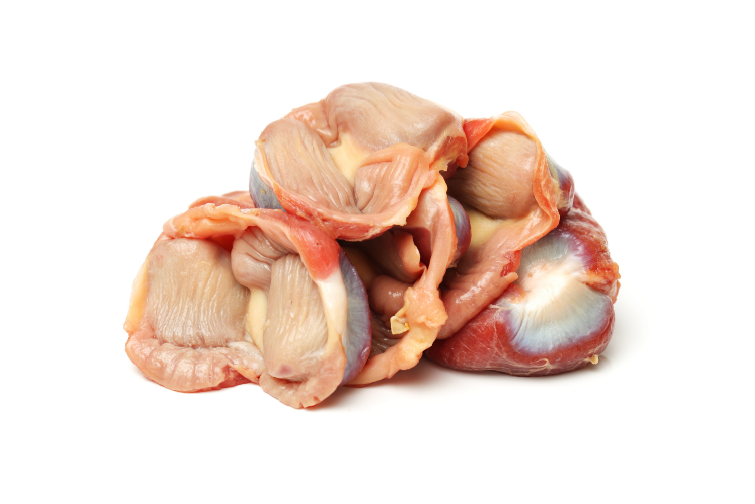 Chicken Gizzard | 鸡胗