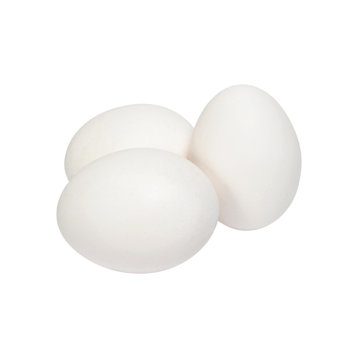 Kampung Egg | 10/Tray