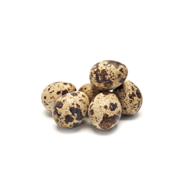 Quail Egg | 15/Tray