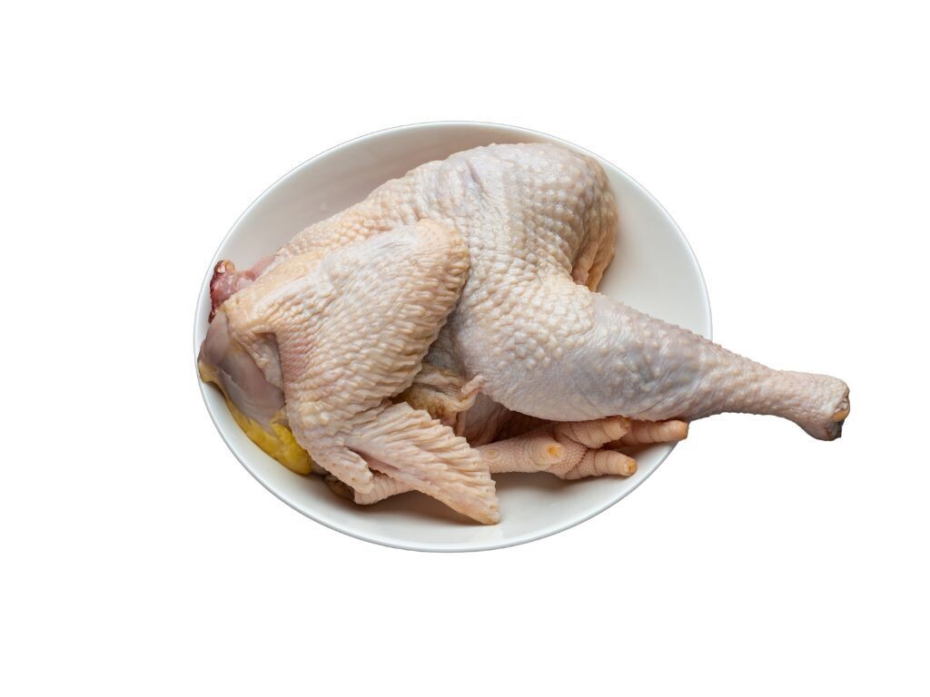 Kampung Old Mother Hen | 老母鸡