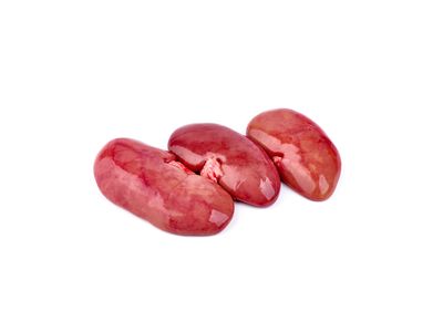 Kidney | 腰子