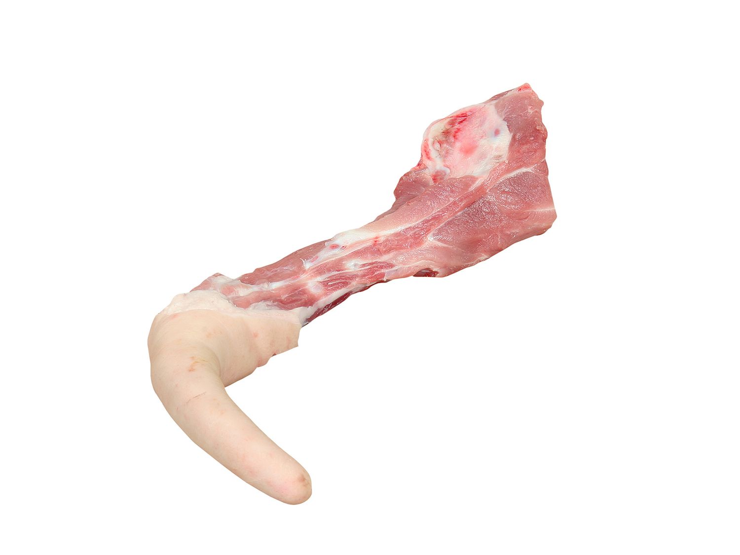 Pig Tail | 猪尾